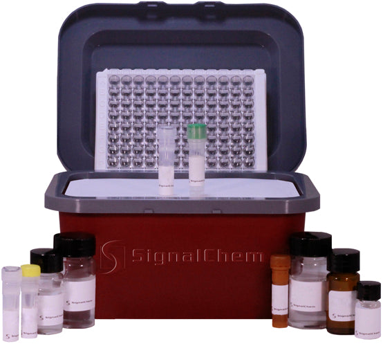 PAD Cocktail Inhibitor Screening Kit (P37C-863)