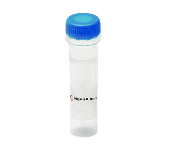 ATF1 Protein(A09-54G)